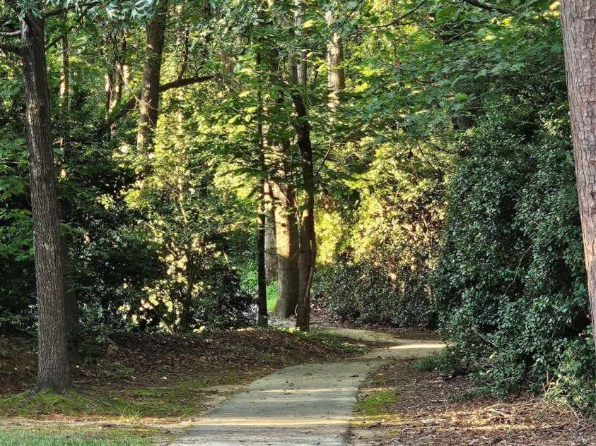 19112 Glouster Court, Cornelius, NC 28031.  MLS# CAR4291361, YatesRealty ID 35099. Mature natural setting