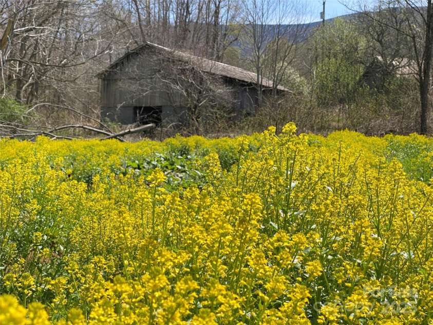 353 Perkins Road, Bakersville, NC 28705.  MLS# CAR4297635, YatesRealty ID 35104. 