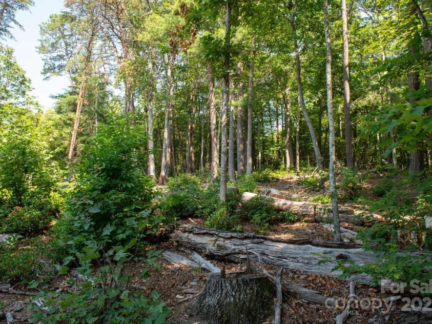 2091 Blowing Rock Boulevard, Lenoir, NC 28645.  MLS# CAR4276116, YatesRealty ID 35125. 