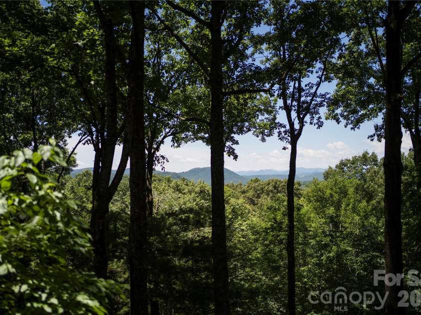 287 Dvdisdi Court, Brevard, NC 28712.  MLS# CAR4358240, YatesRealty ID 35141. Pure Magic