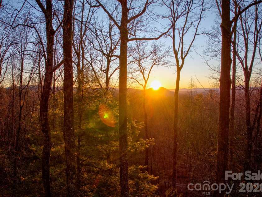 287 Dvdisdi Court, Brevard, NC 28712.  MLS# CAR4358240, YatesRealty ID 35141. Stunning Winter Light