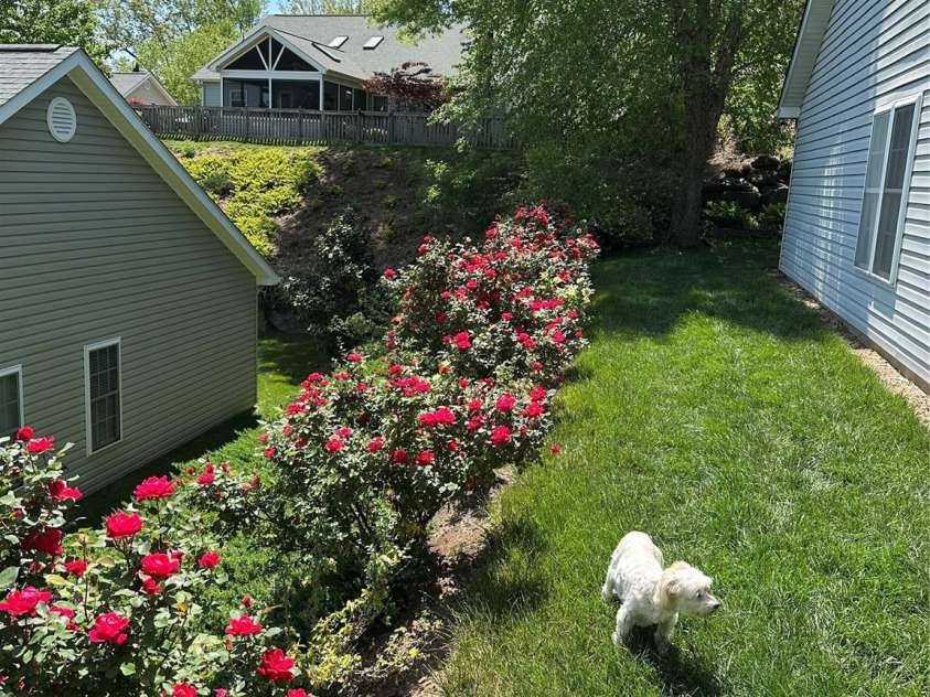 32 Stonebridge Drive, Asheville, NC 28805.  MLS# CAR4255755, YatesRealty ID 35146. 