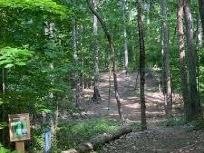 2359 Fernridge Lane, Matthews, NC 28105.  MLS# CAR4296338, YatesRealty ID 35175. Squirrel Lake Park