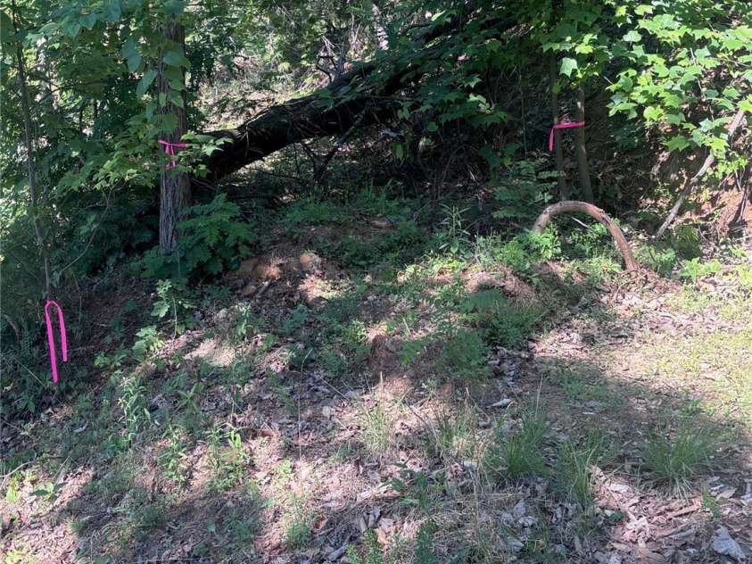 137 Napa Drive, Rutherfordton, NC 28139.  MLS# CAR4379149, YatesRealty ID 35205. 
