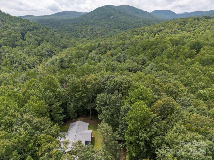 224 Small Falls Lane, Saluda, NC 28773.  MLS# CAR4291769, YatesRealty ID 35213. 