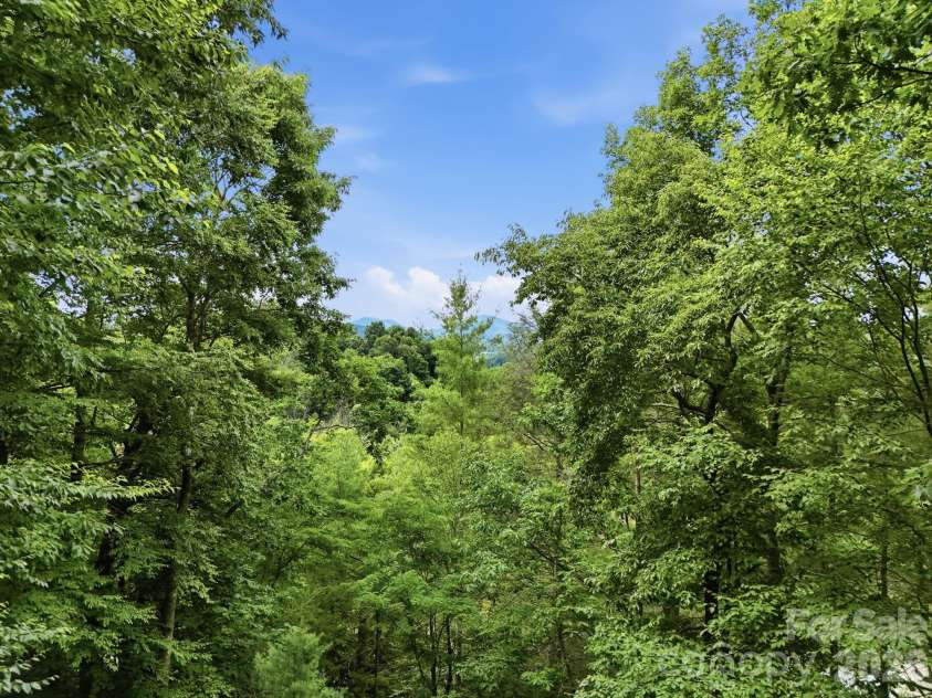 176 Ravens View, Boone, NC 28607.  MLS# CAR4398547, YatesRealty ID 35286. 