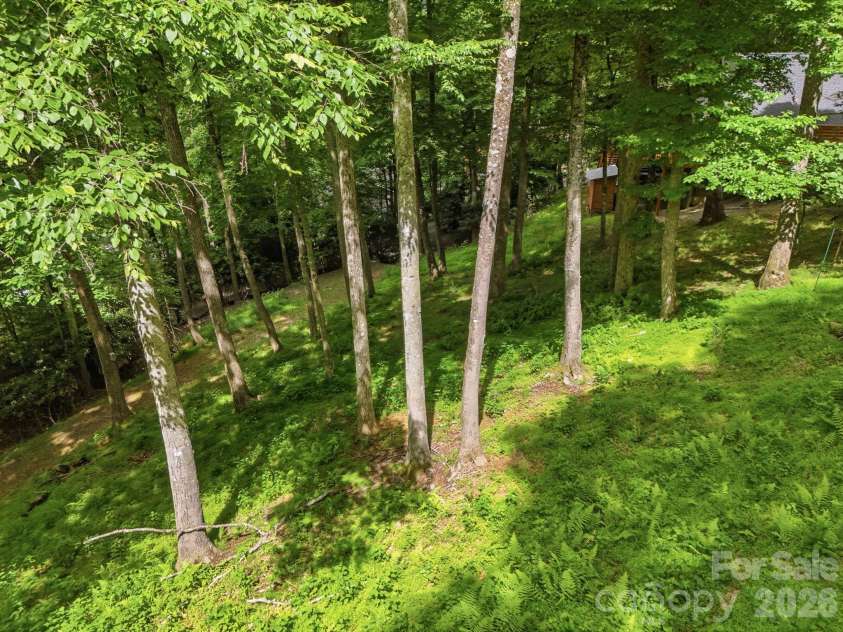 176 Ravens View, Boone, NC 28607.  MLS# CAR4398547, YatesRealty ID 35286. 