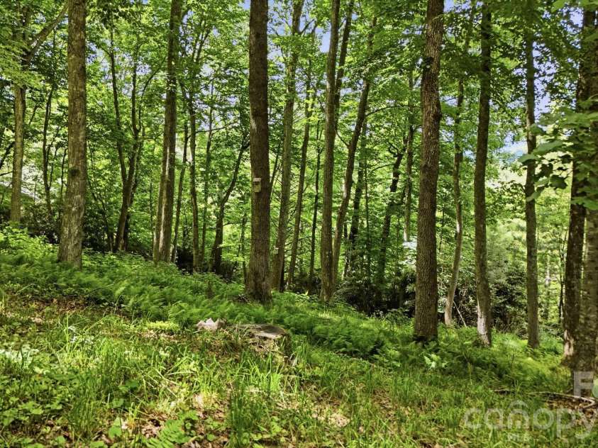 176 Ravens View, Boone, NC 28607.  MLS# CAR4398547, YatesRealty ID 35286. Additional Lot