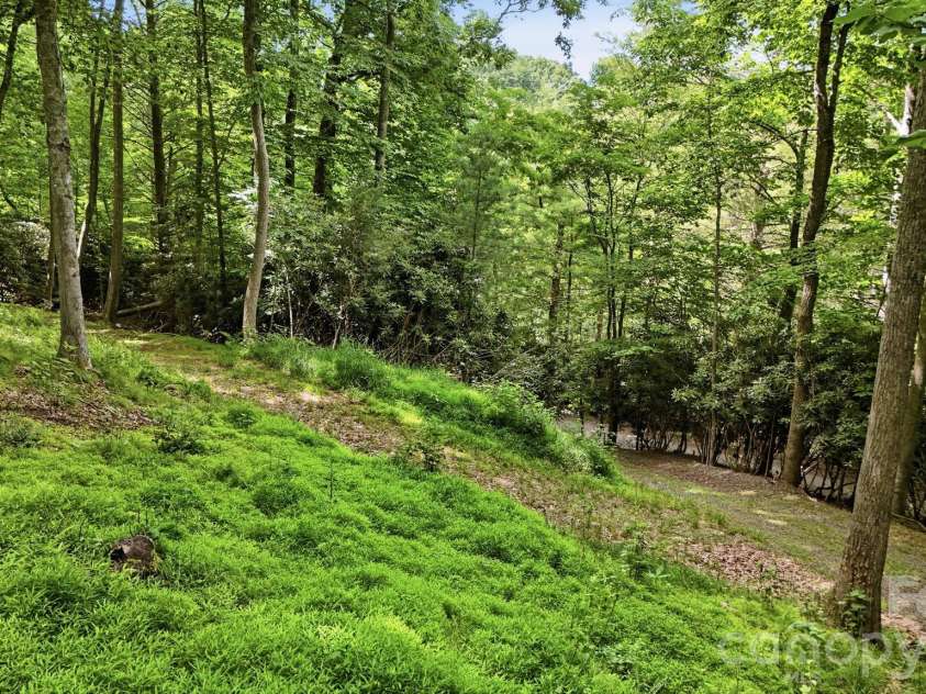 176 Ravens View, Boone, NC 28607.  MLS# CAR4398547, YatesRealty ID 35286. Additional Lot
