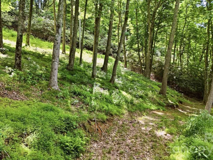 176 Ravens View, Boone, NC 28607.  MLS# CAR4398547, YatesRealty ID 35286. Additional Lot