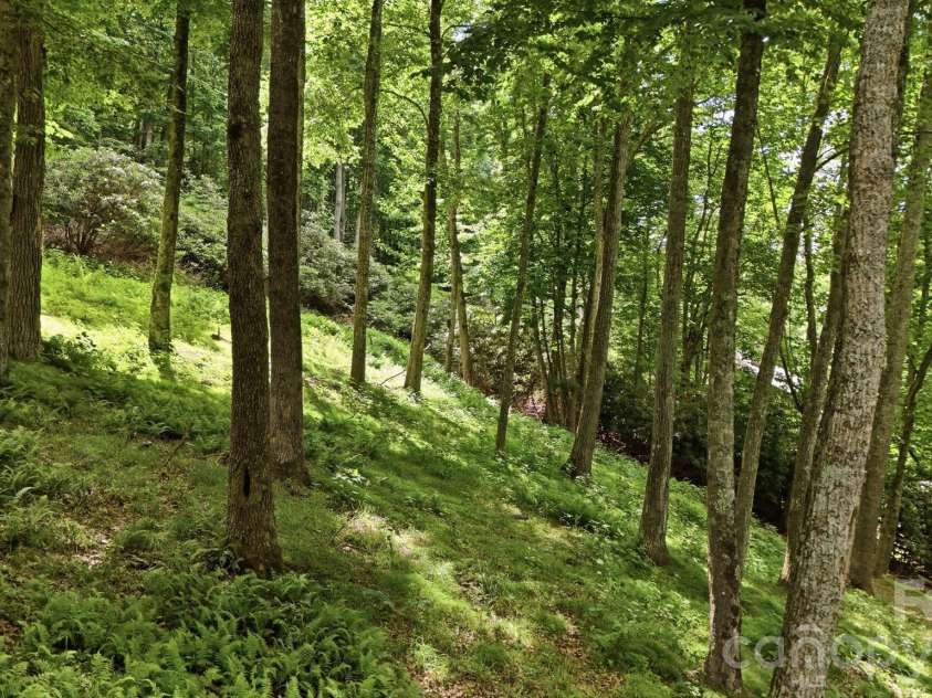 176 Ravens View, Boone, NC 28607.  MLS# CAR4398547, YatesRealty ID 35286. Additional Lot