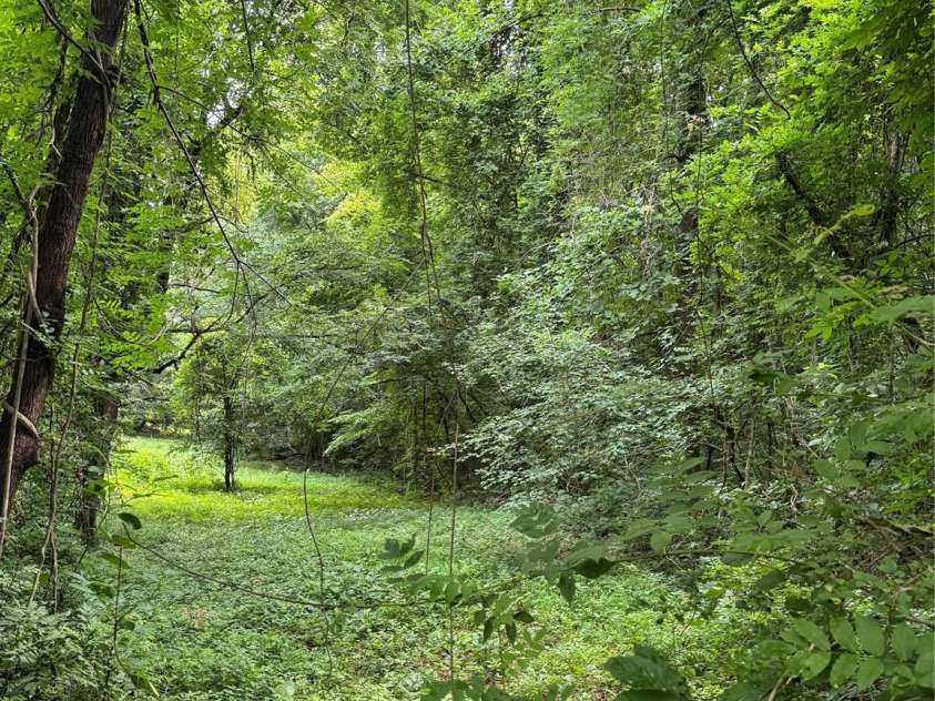 2874 Huffman Road, Lenoir, NC 28645.  MLS# CAR4400309, YatesRealty ID 35328. 2.3 acres