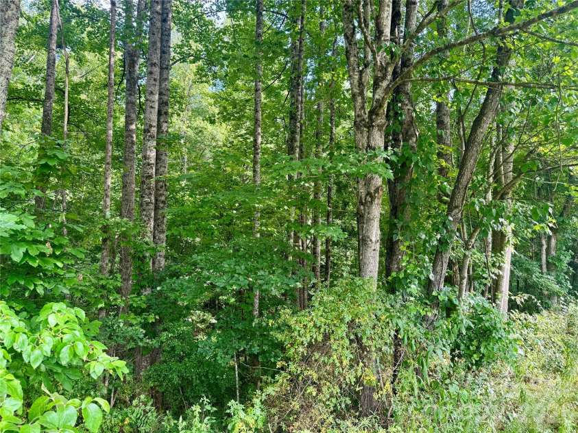 2874 Huffman Road, Lenoir, NC 28645.  MLS# CAR4400309, YatesRealty ID 35328. Wooded lot