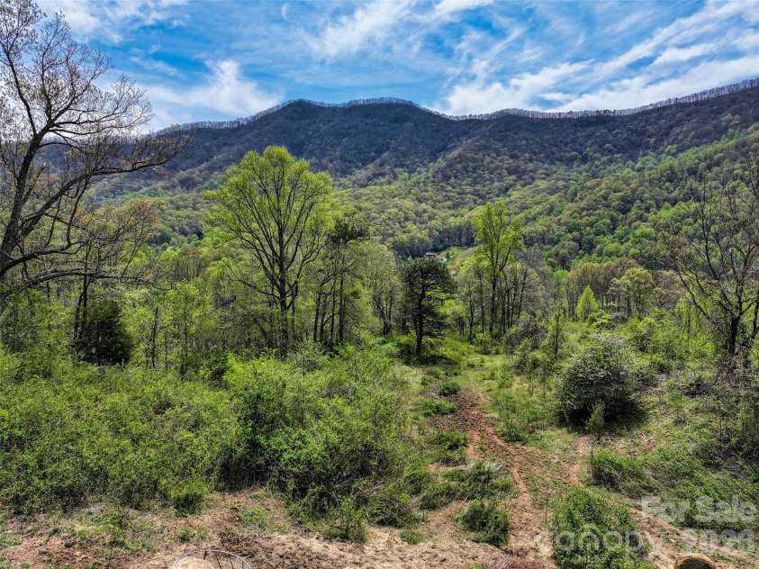 1567 Newfound Road, Leicester, NC 28748.  MLS# CAR4214973, YatesRealty ID 35448. Upper land