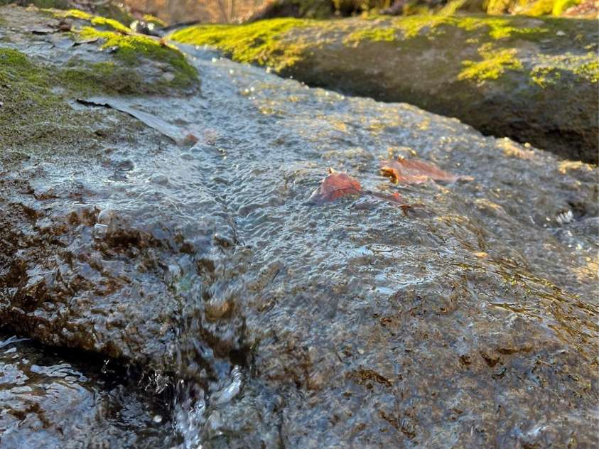 1560 Shinnville Road, Cleveland, NC 27013.  MLS# CAR4333343, YatesRealty ID 3547. 