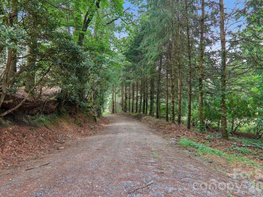 61 Bo Diddly Lane, Cedar Mountain, NC 28718.  MLS# CAR4399464, YatesRealty ID 35495. 