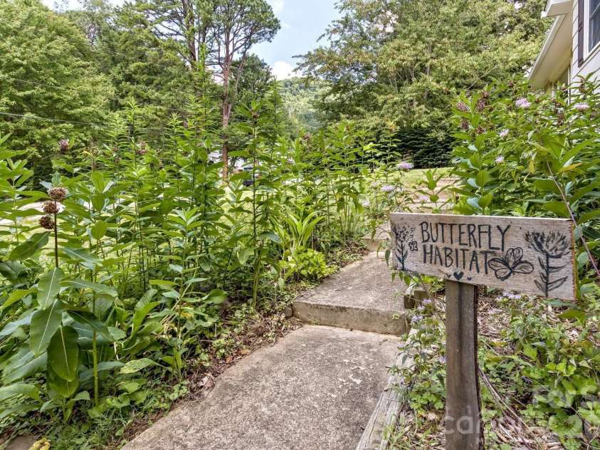 17 Rhododendron Place, Asheville, NC 28805.  MLS# CAR4399647, YatesRealty ID 35559. Established plants