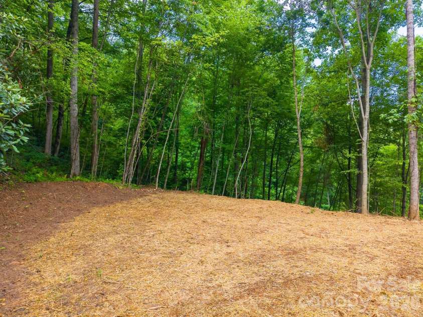 264 Westridge Road, Sylva, NC 28779.  MLS# CAR4401909, YatesRealty ID 35612. 