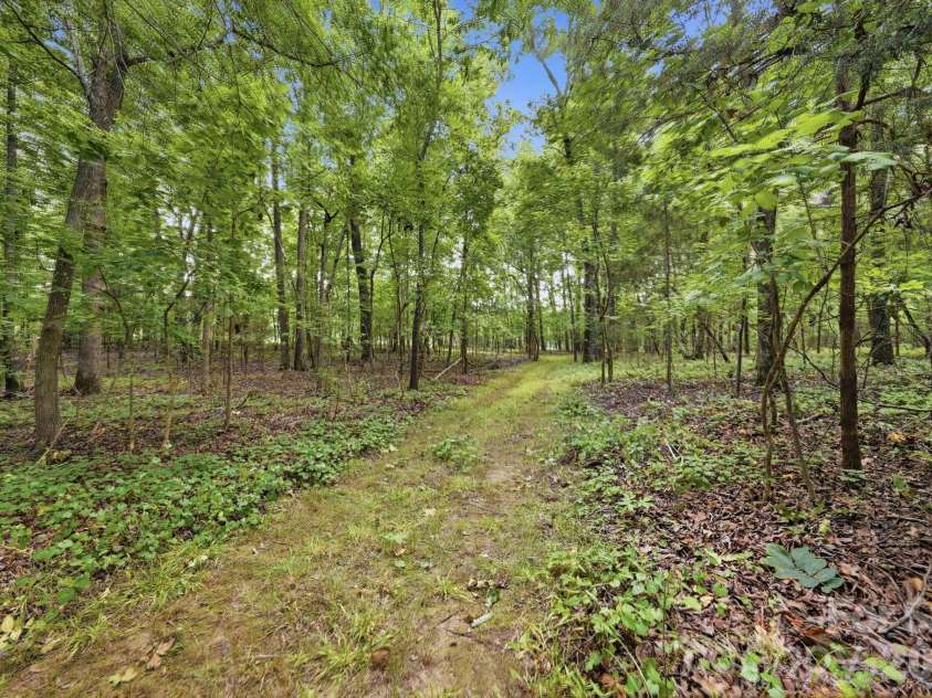 2545 Rocky River Road, Lancaster, SC 29720.  MLS# CAR4394722, YatesRealty ID 35819. Trails throughout the property