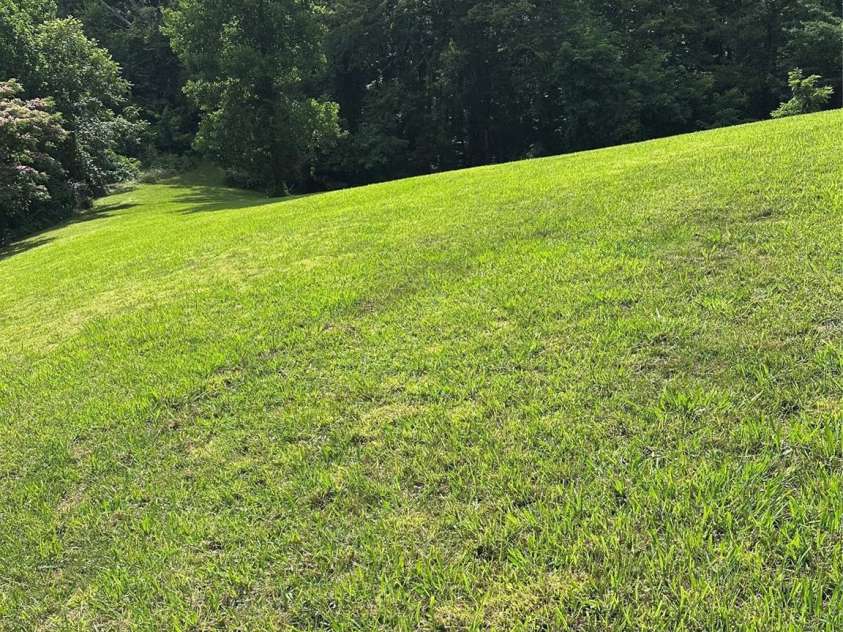 70 Heslar Way, Marshall, NC 28753.  MLS# CAR4388058, YatesRealty ID 35900. More Beautiful open land