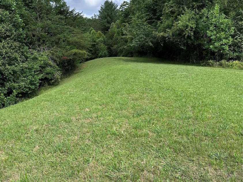 70 Heslar Way, Marshall, NC 28753.  MLS# CAR4388058, YatesRealty ID 35900. More pastures