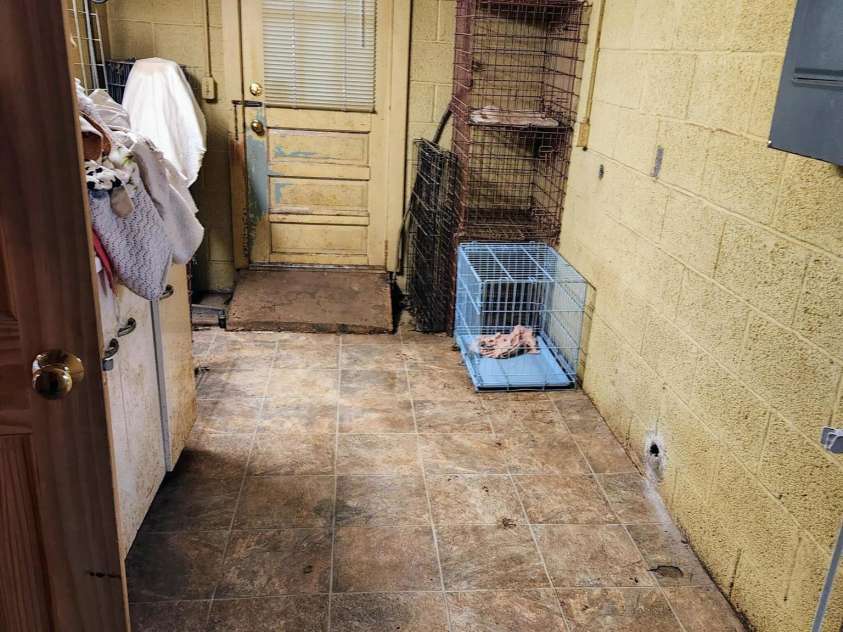 126 Gwyn Street, North Wilkesboro, NC 28659.  MLS# CAR4326568, YatesRealty ID 3595. 