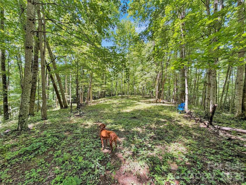 321 Grays Shadow Lane, Banner Elk, NC 28604.  MLS# CAR4402280, YatesRealty ID 35963. 