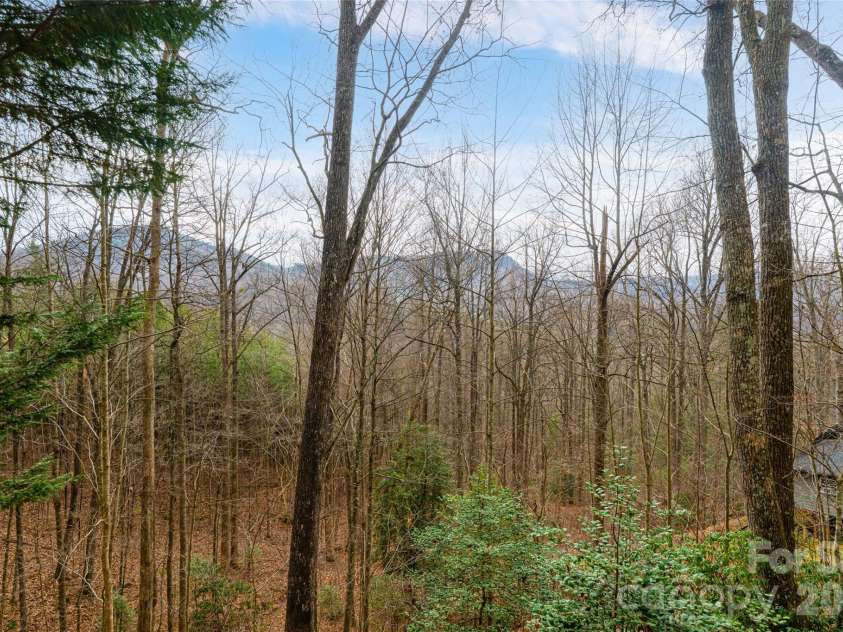31 Timber Park Drive, Black Mountain, NC 28711.  MLS# CAR4336754, YatesRealty ID 3605. 