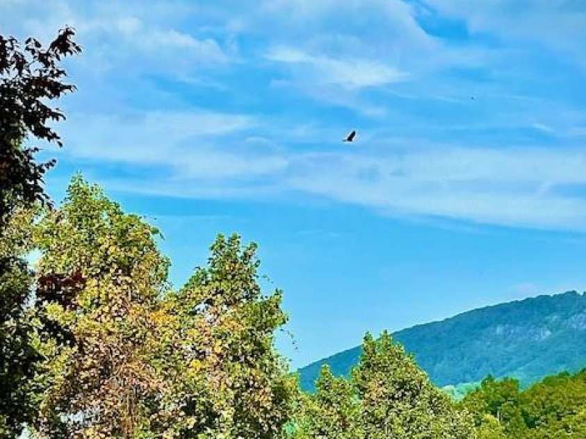 771 Sally Gap Road, Old Fort, NC 28762.  MLS# CAR4333487, YatesRealty ID 3612. 