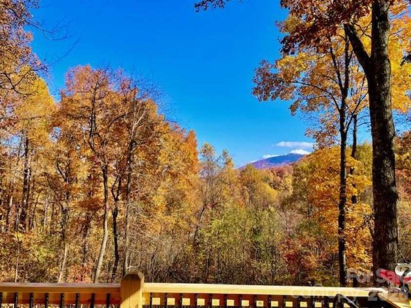 771 Sally Gap Road, Old Fort, NC 28762.  MLS# CAR4333487, YatesRealty ID 3612. Fall View