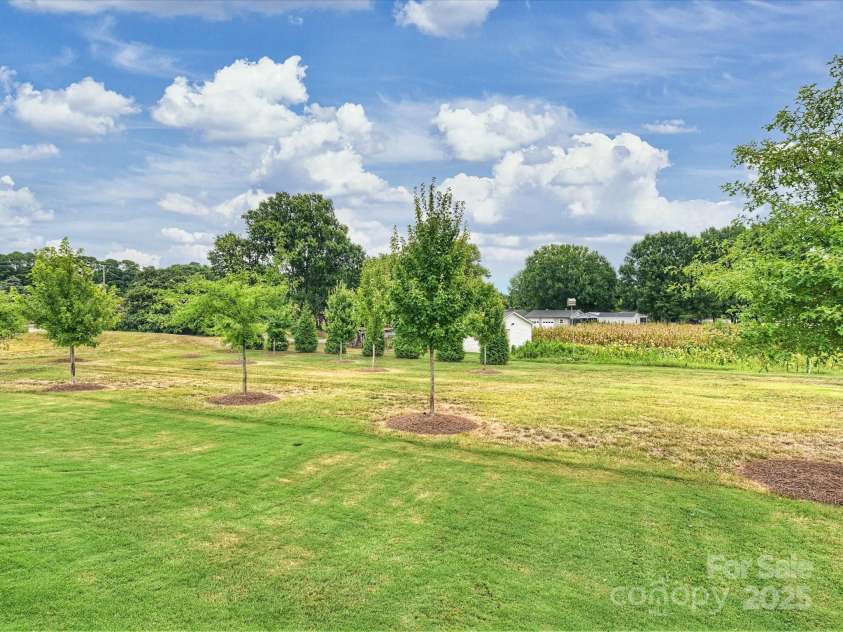 13627 Tranquil Day Drive, Matthews, NC 28105.  MLS# CAR4285895, YatesRealty ID 3613. Backyard