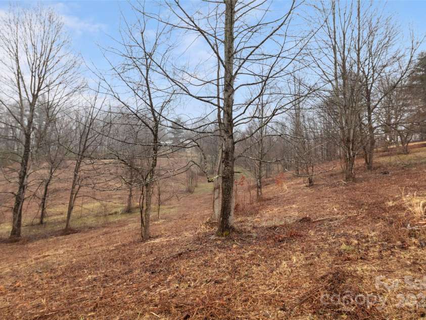 255 & 257 Crescent Street, Saluda, NC 28773.  MLS# CAR4218749, YatesRealty ID 3613. In the distance is Summers Drive which the land joins.  Many places to build your dream home or two and use the two homes as accessory dwellings.