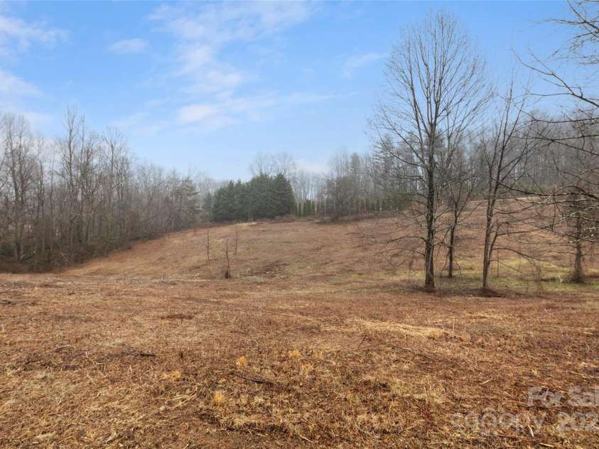 255 & 257 Crescent Street, Saluda, NC 28773.  MLS# CAR4218749, YatesRealty ID 3613. View of rolling pasture.