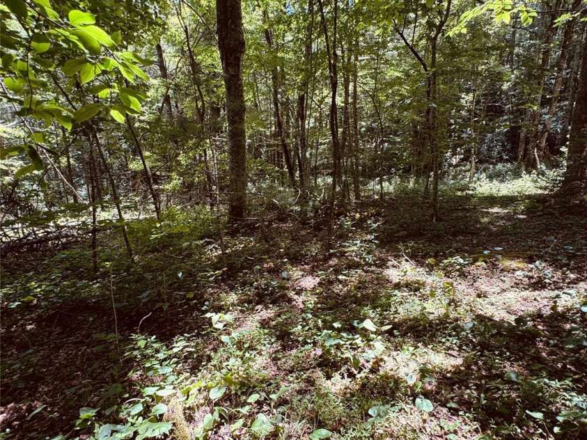 6835 NC 183 Highway, Newland, NC 28657.  MLS# CAR4402167, YatesRealty ID 36282. 
