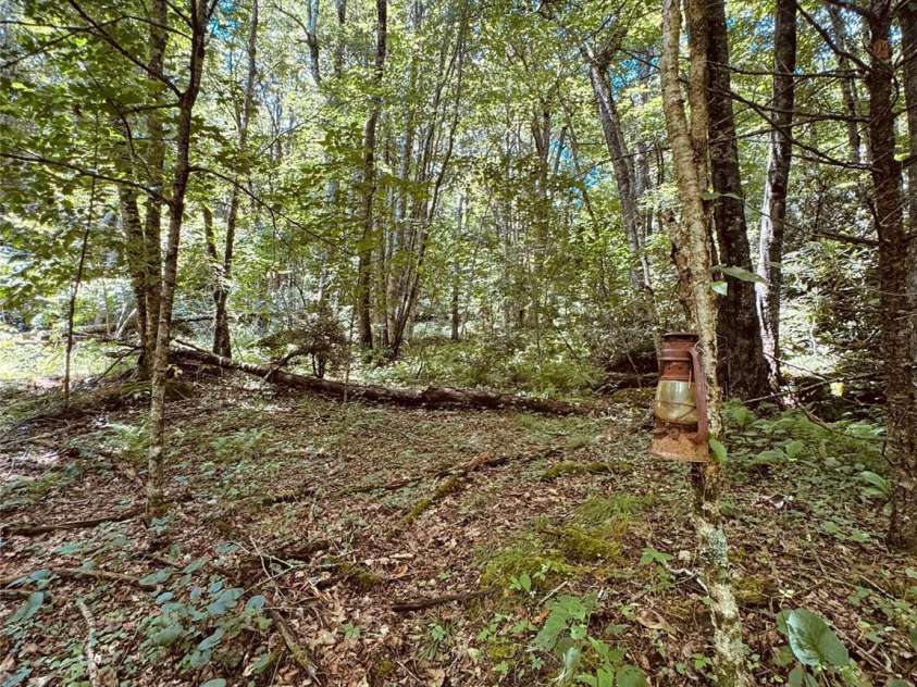 6835 NC 183 Highway, Newland, NC 28657.  MLS# CAR4402167, YatesRealty ID 36282. 