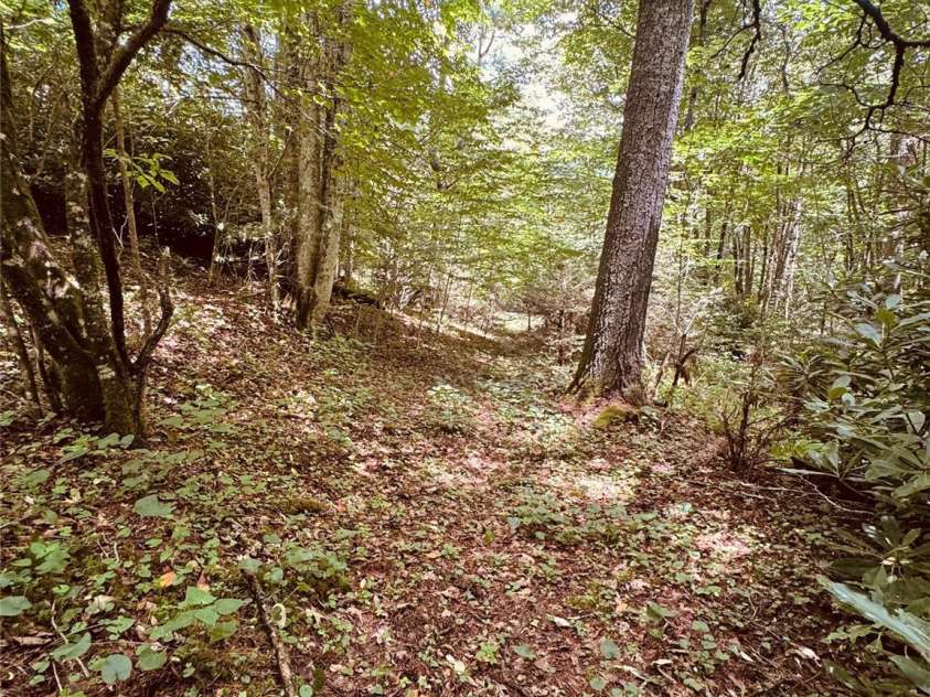 6835 NC 183 Highway, Newland, NC 28657.  MLS# CAR4402167, YatesRealty ID 36282. 