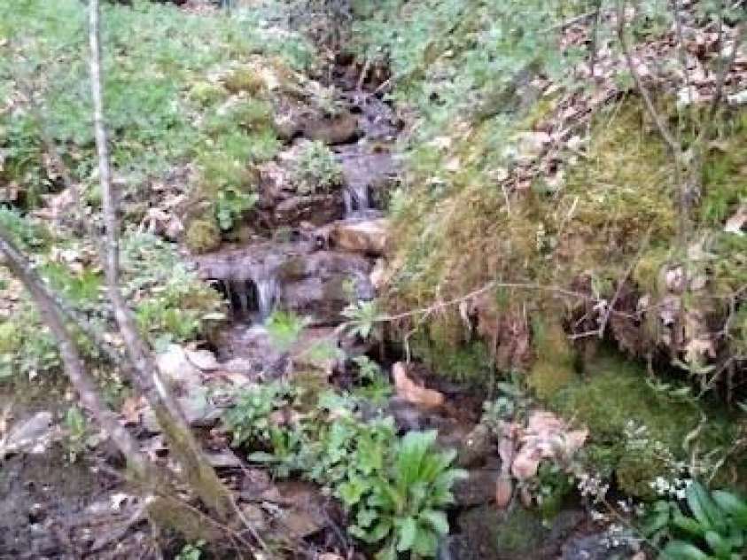 617 Barkers Creek Road, Whittier, NC 28789.  MLS# CAR4340564, YatesRealty ID 3632. 