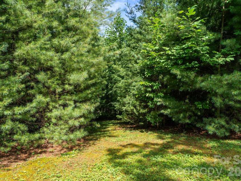 9081 Pittmans Gap Road, Newland, NC 28657.  MLS# CAR4402274, YatesRealty ID 36321. Walking paths through the woods