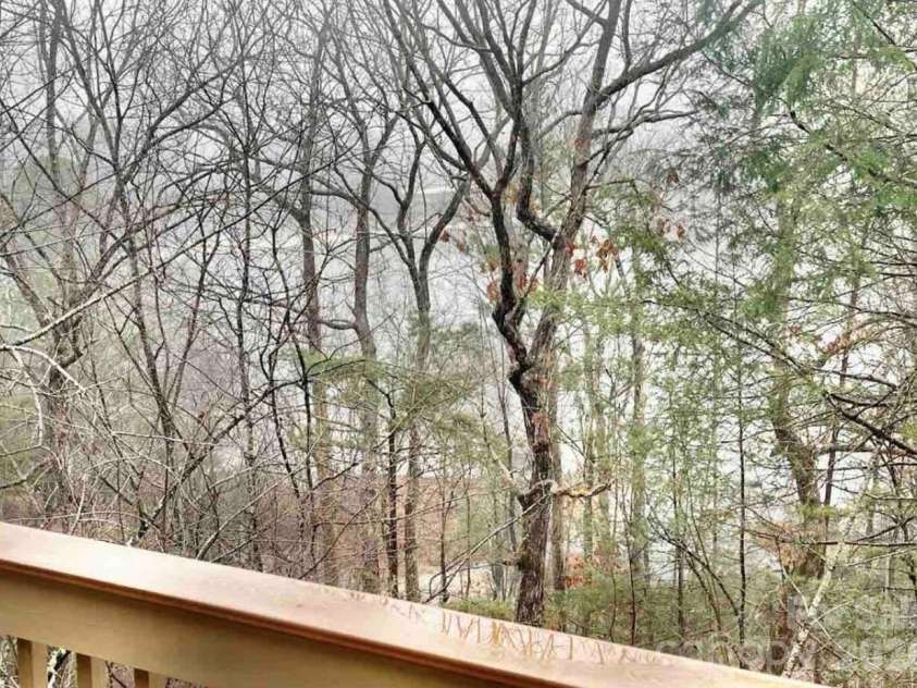 155 Quail Cove Boulevard, Lake Lure, NC 28746.  MLS# CAR4386792, YatesRealty ID 3634. 