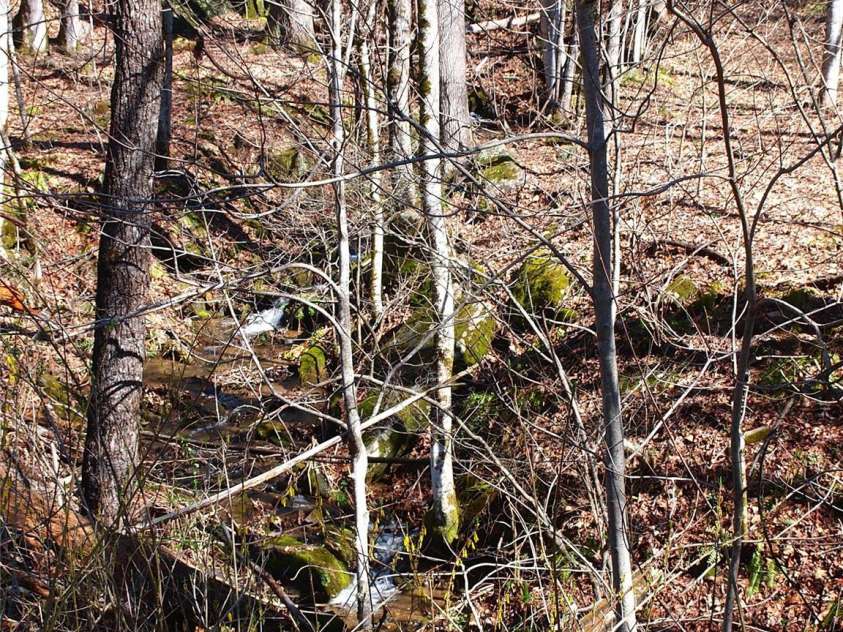 664 Woodfin Road, Sylva, NC 28779.  MLS# CAR4109164, YatesRealty ID 3636. 