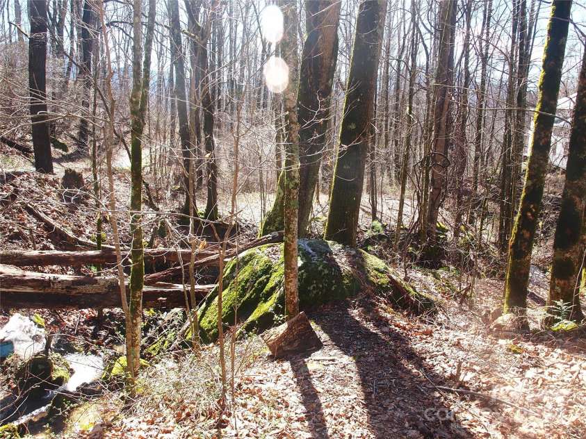 664 Woodfin Road, Sylva, NC 28779.  MLS# CAR4109164, YatesRealty ID 3636. 