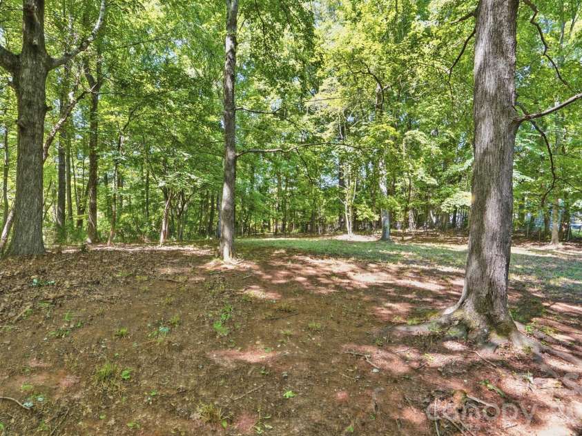 1927 Terra Lane, Lancaster, SC 29720.  MLS# CAR4379834, YatesRealty ID 36389. Wooded Backyard