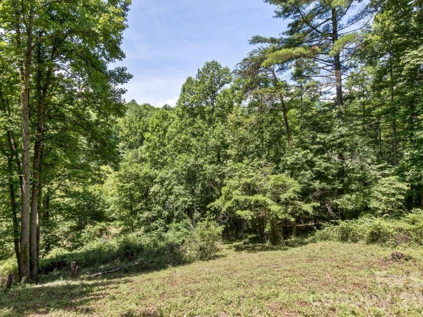 104 Pokeberry Lane, Leicester, NC 28748.  MLS# CAR4401625, YatesRealty ID 36417. Front yard