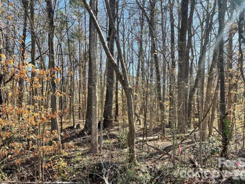 03 Lurecliff Place, Fort Mill, SC 29708.  MLS# CAR4402547, YatesRealty ID 36422. 