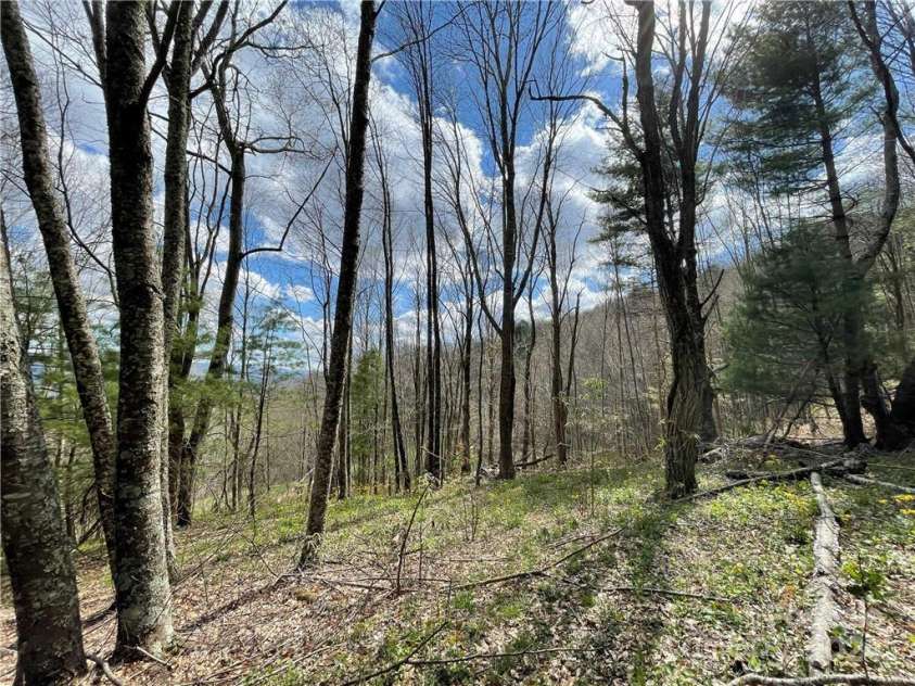 1375 Swing Road, Burnsville, NC 28714.  MLS# CAR4131042, YatesRealty ID 365. 