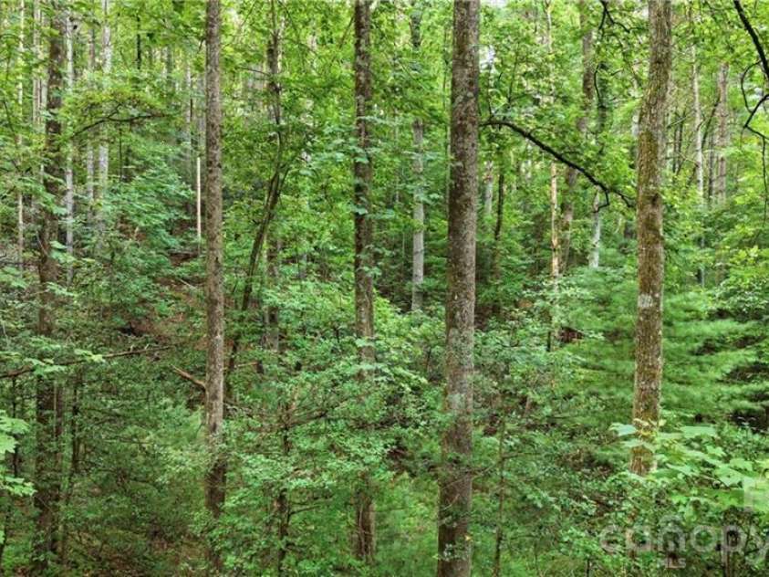 11526 US Highway 421 None, Purlear, NC 28665.  MLS# CAR4402668, YatesRealty ID 36519. 