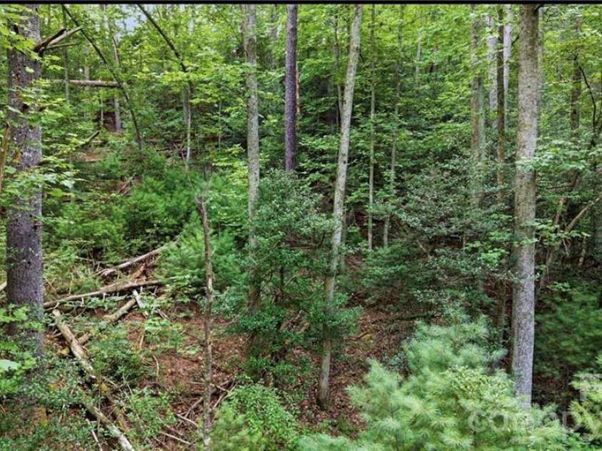 11526 US Highway 421 None, Purlear, NC 28665.  MLS# CAR4402668, YatesRealty ID 36519. 