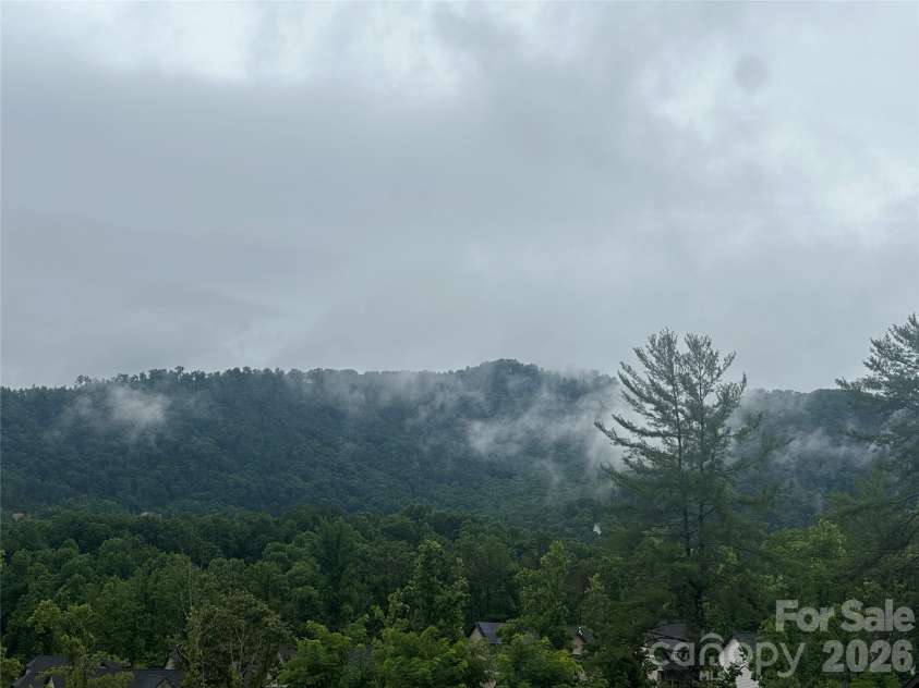115 Water Leaf Drive, Weaverville, NC 28787.  MLS# CAR4389207, YatesRealty ID 36543. 