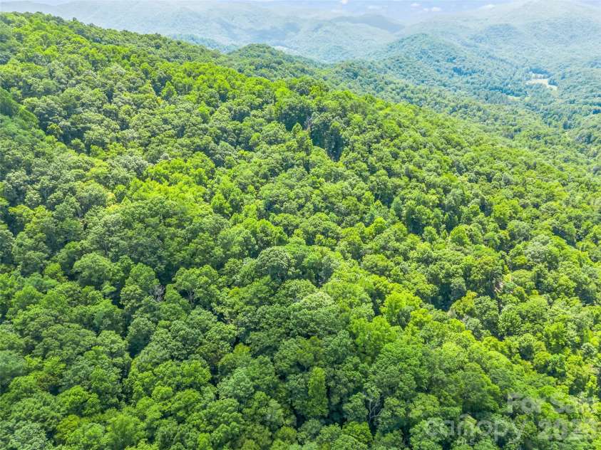 20 Kimberly Road, Black Mountain, NC 28711.  MLS# CAR4400937, YatesRealty ID 36599. 