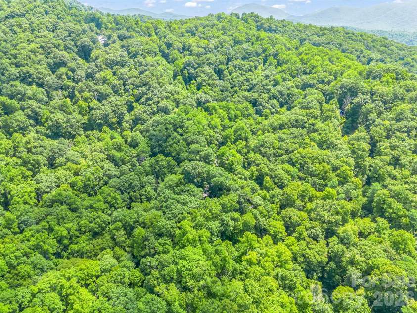 20 Kimberly Road, Black Mountain, NC 28711.  MLS# CAR4400937, YatesRealty ID 36599. 